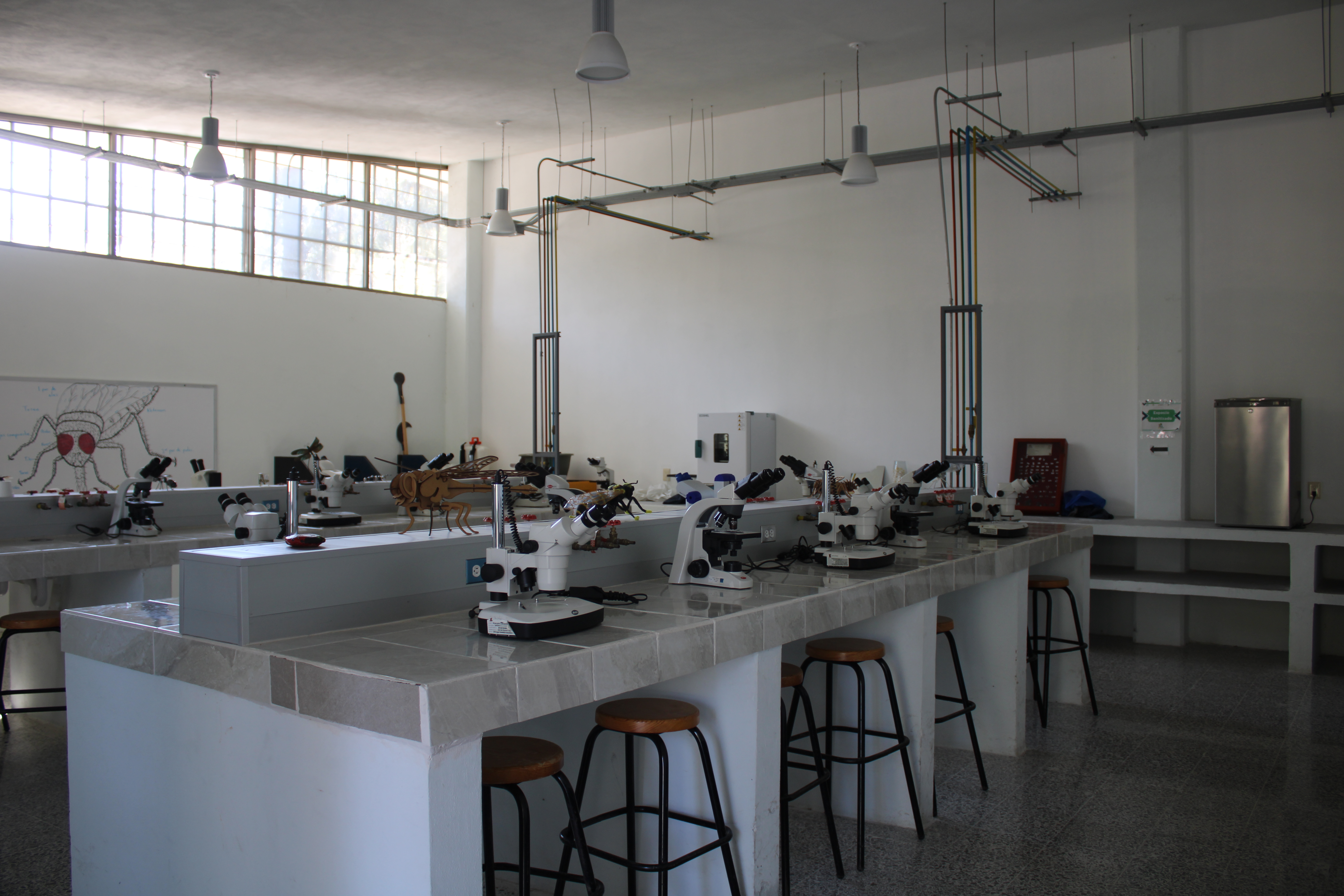 Taller de entomologia, Semillas, Frutas y Hortalizas