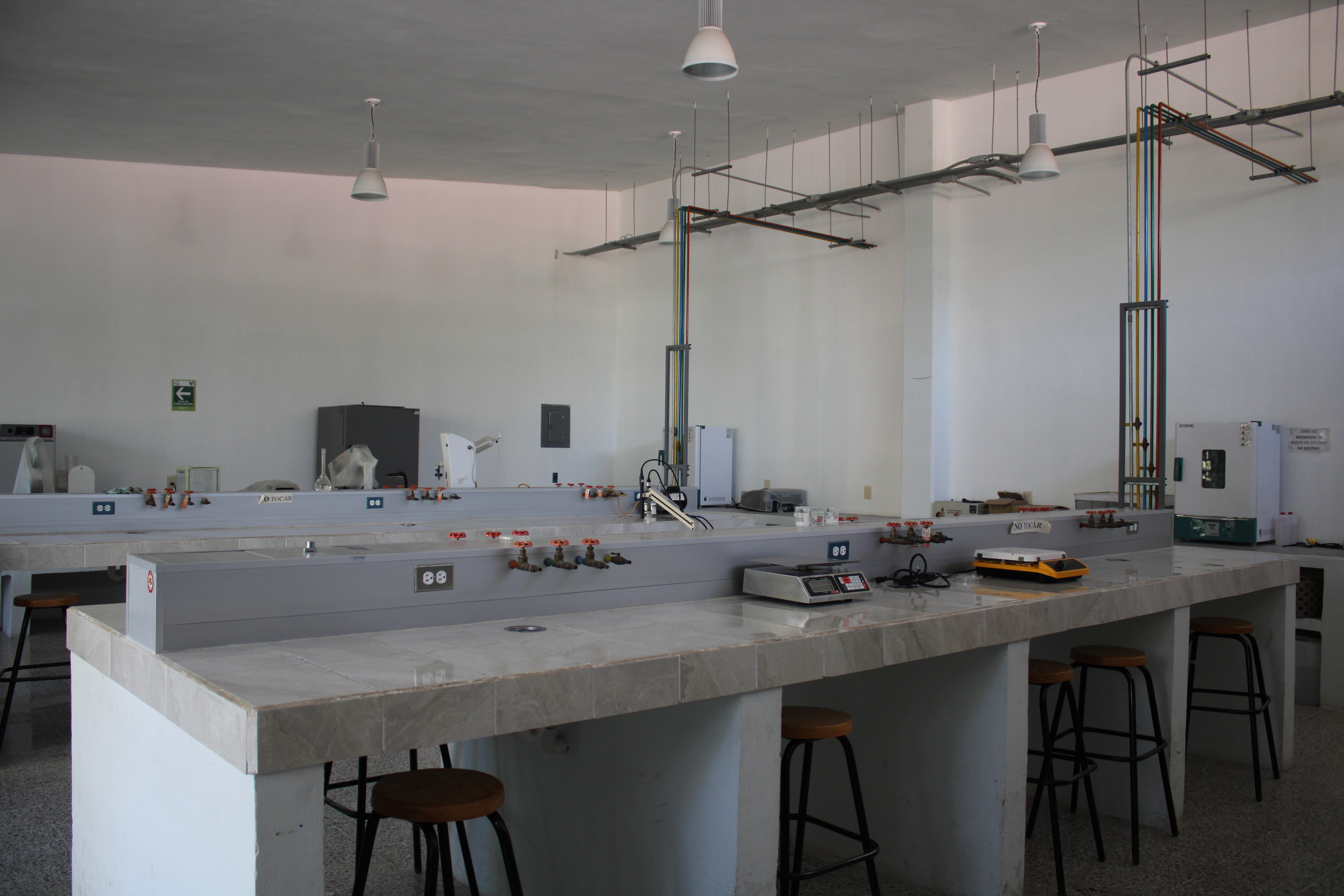 Laboratorio de Fitopatología