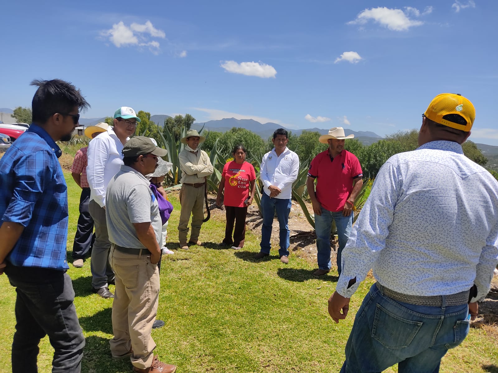 Capacitación a productores de maguey (Foto 11)